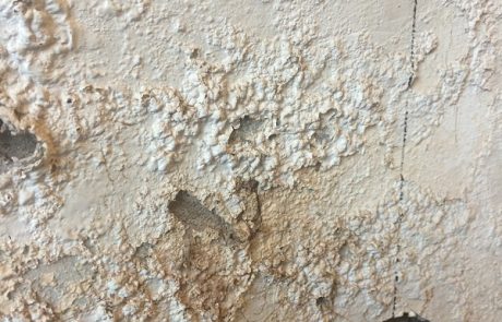The effects of damp caused by moisture trapped in the walls due to cement render