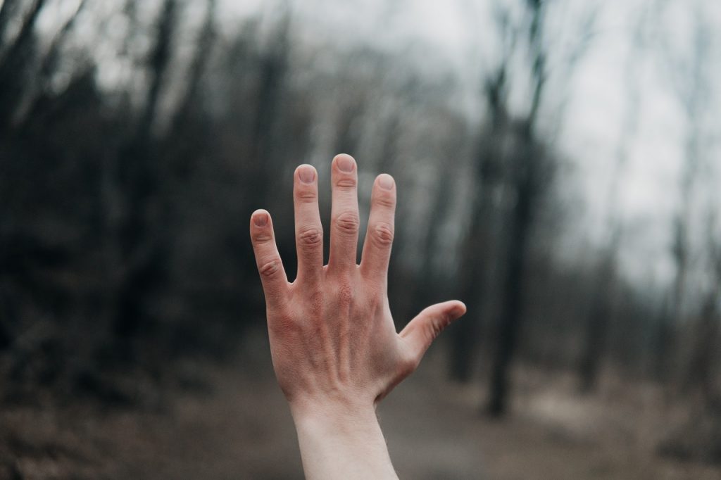 A raised hand with woodland background - Photo by Andrik Langfield on Unsplash