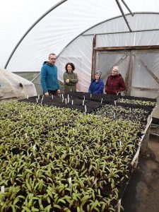 A group from Alston Moor Greenprint gets a tour inside the polytunnel at Growing Well