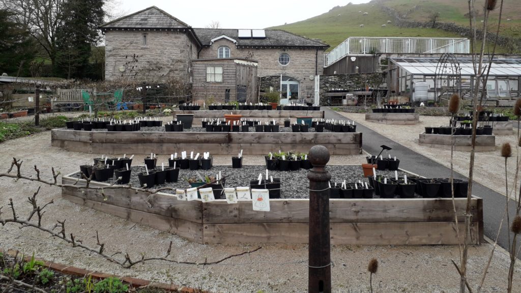 The Coach House Cafe and kitchen garden Ulverston