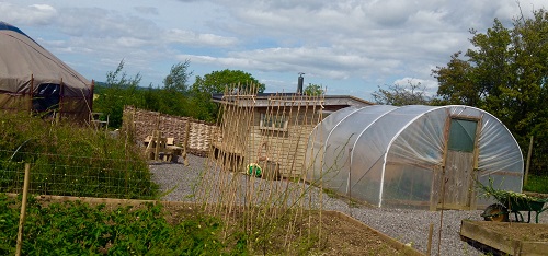 Design a sustainable lifestyle at Danaway Permaculture Homestead - 10am