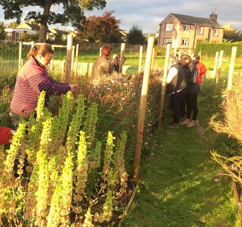 Flower power! Sustainable flower farm talk & tour