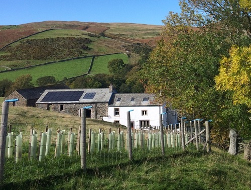 Open home: Off-grid, deep eco-retrofit of a traditional upland farmhouse - 3pm