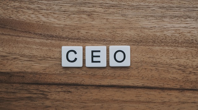 CEO graphic