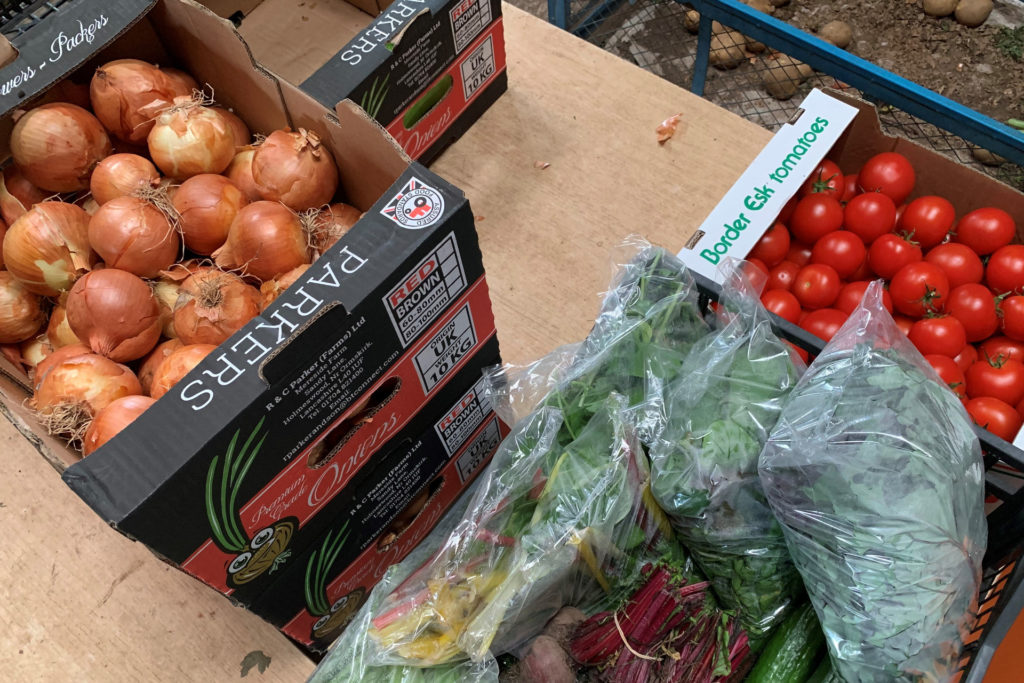 Boxes of food