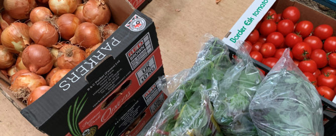 Boxes of food