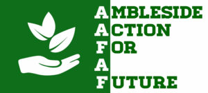 Ambleside Action for a Future logo