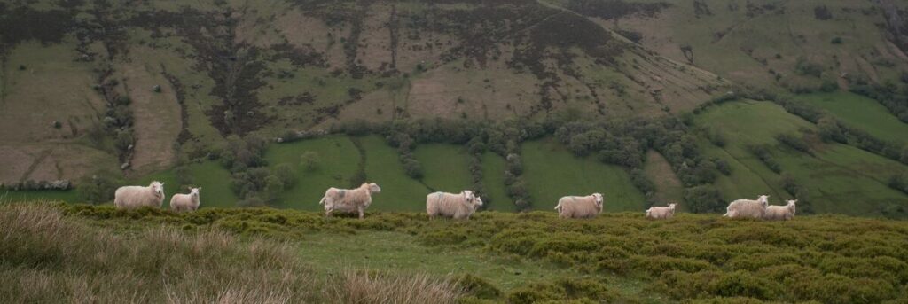 Upland farming