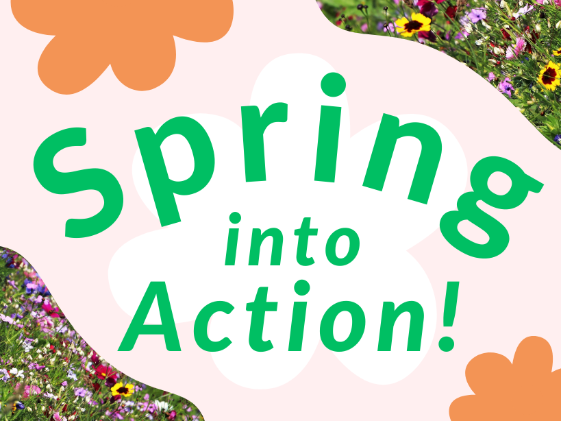 Spring into Action: Westogether Catch Up and Seed Swap