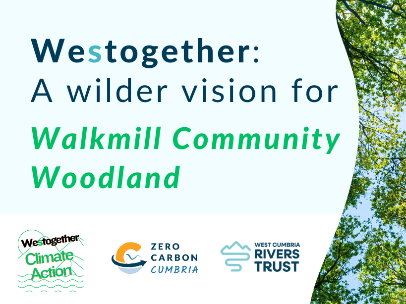 Westogether event: A wilder vision for Walkmill Community Woodland
