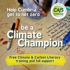 Climate Champions in Copeland